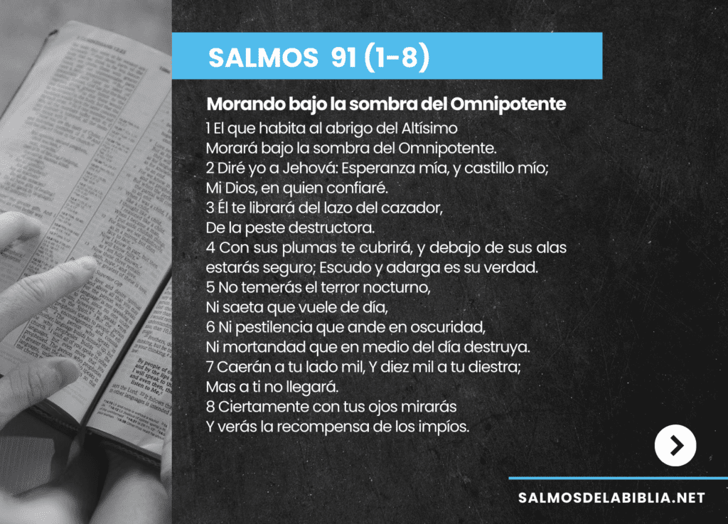 SALMOS 91 DEL 1 AL 8