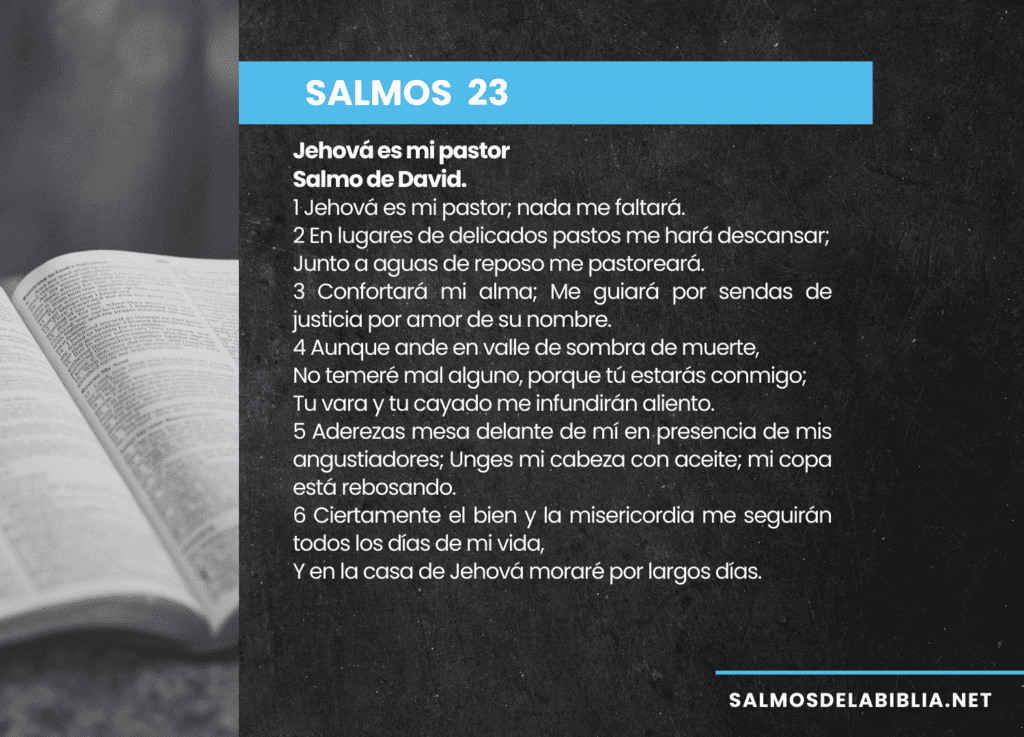 salmo 23 del 1 al 6